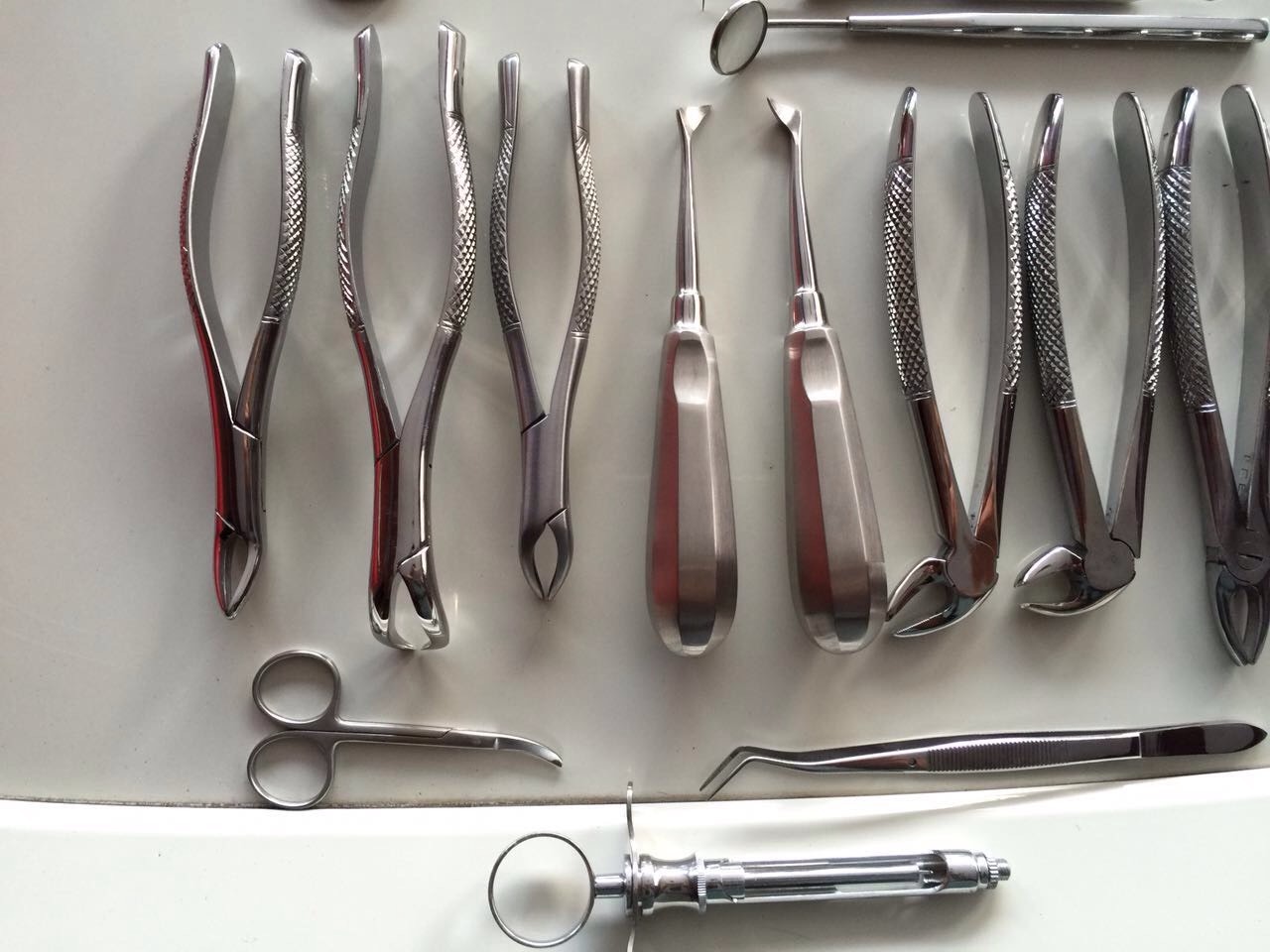 32 Pcs ORAL DENTAL EXTRACTION SURGERY EXTRACTING ELEVATORS FORCEPS INSTRUMENTS