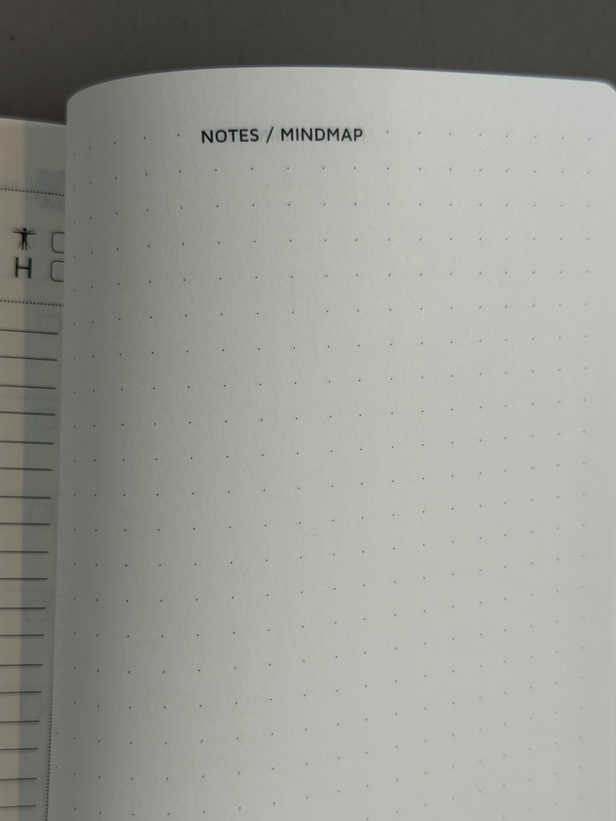 Panda Planner Cossa Planner Daily Monthly Weekly Undated Lot of 2