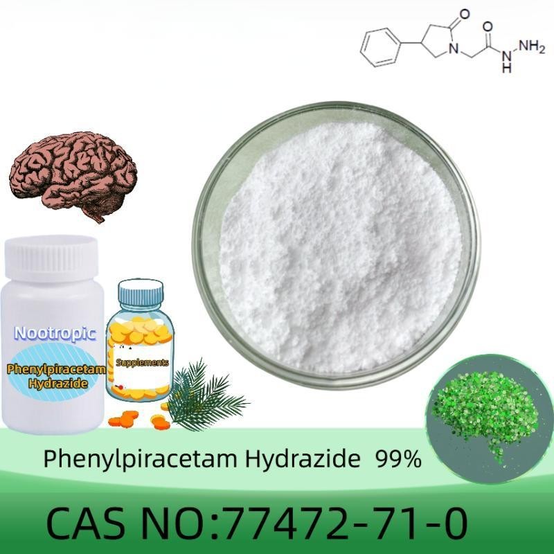 Phenylpiracetam Powder, Purity 99.9+%, 10 Grams