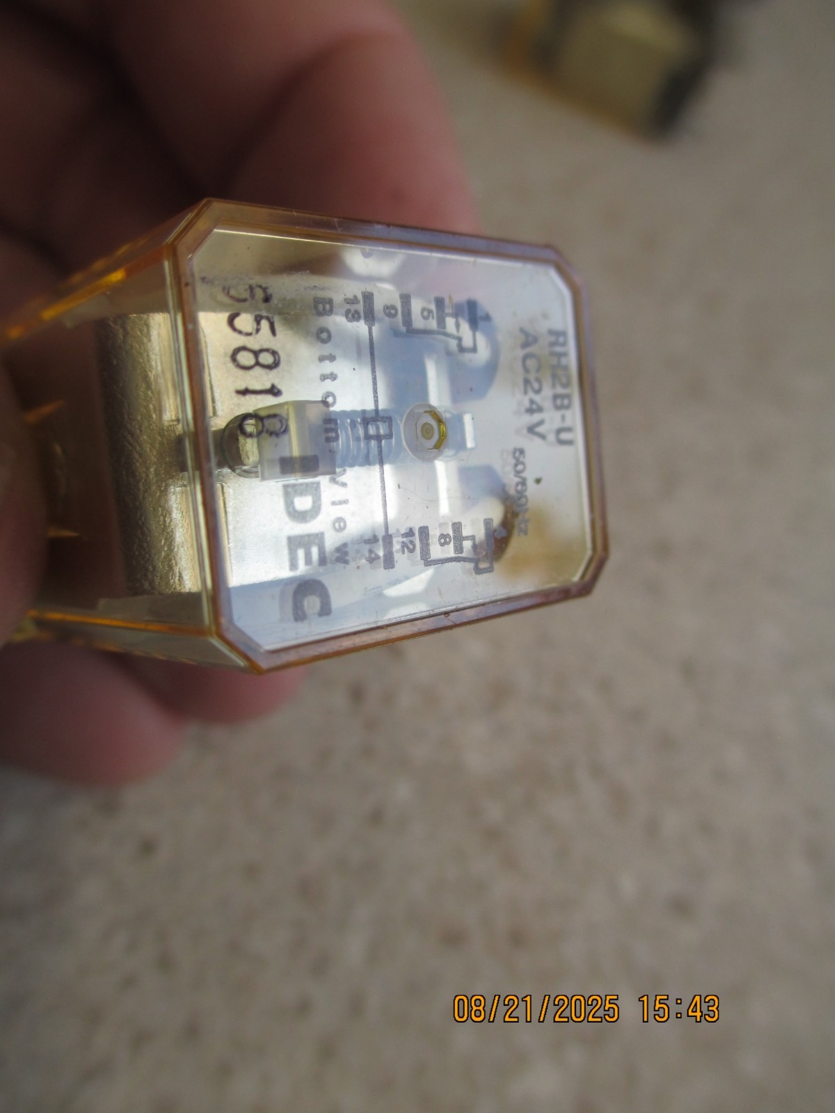 Idec RH2B-U AC24V Relay NEW