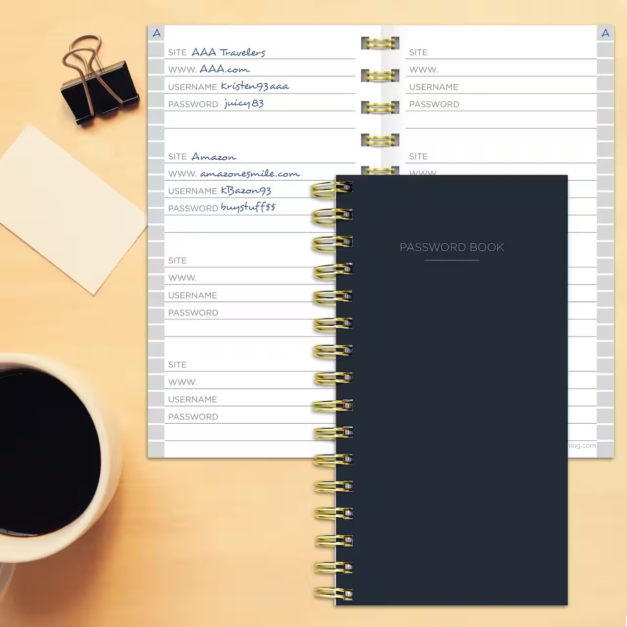 TF PUBLISHING Black Spiral Internet Password Book 138 pgs, 3.5″ x 6.5″