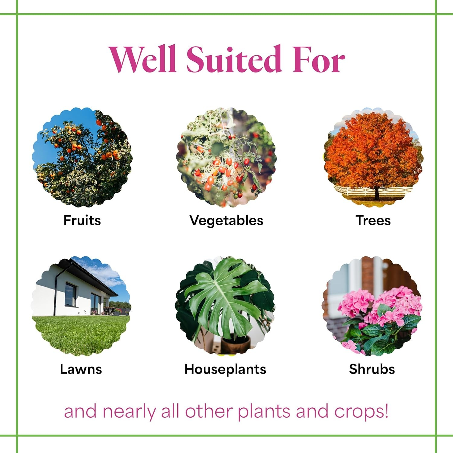 Grow More All-Season’s Plant Food (20-20-20 Fertilizer) – 1.5lbs of All Purpose