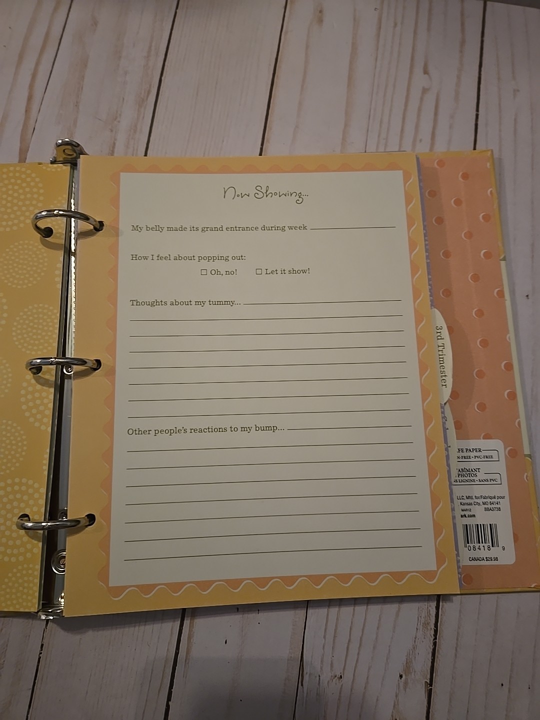 Hallmark Pregnancy Journal – Confessions, Cravings, & Contractions
