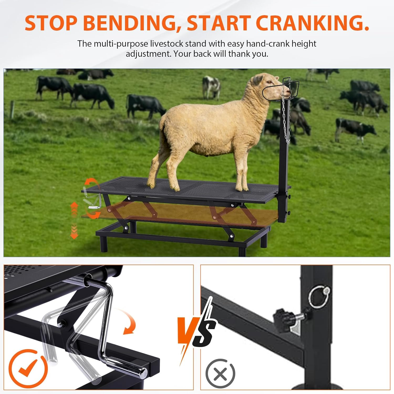 Goat Milking Stand with Hand Crank,Wheels – 48″X23″ Adjustable Headpiece & Heigh