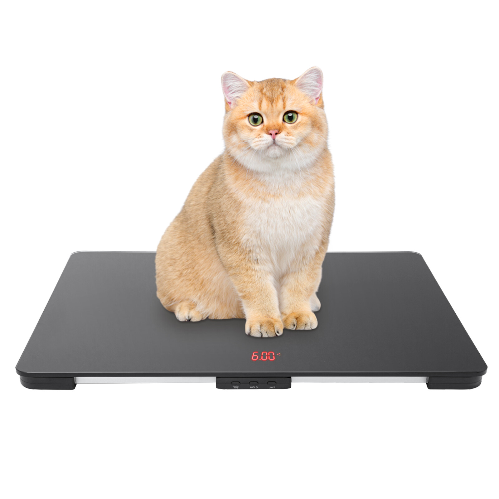Small Pet Animal Scale G-Sensor LCD Weighing Scales for Pet Stores, Hospitals