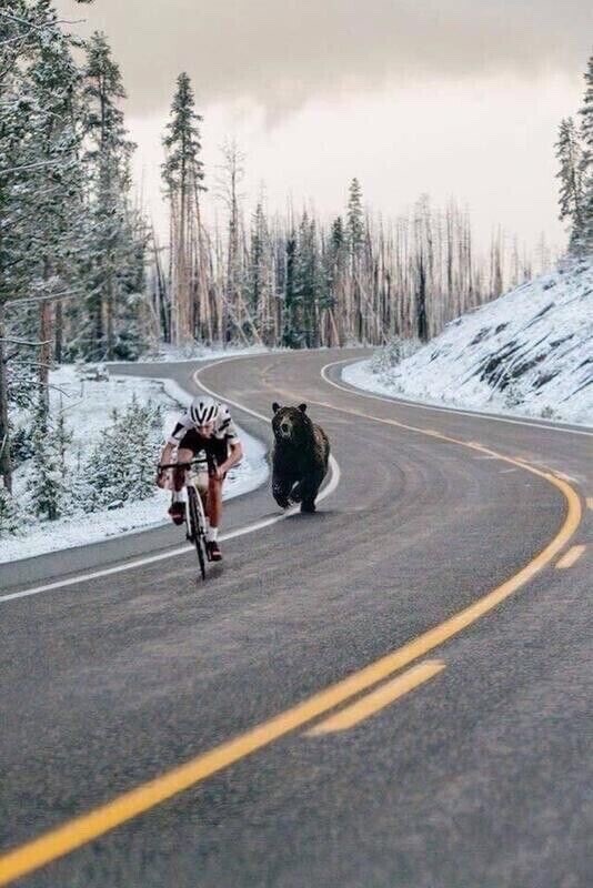 🔥🧯New 2024 Certified Buckeye 5lb ABC Fire Extinguisher 3A-40BC Sign/Bracket