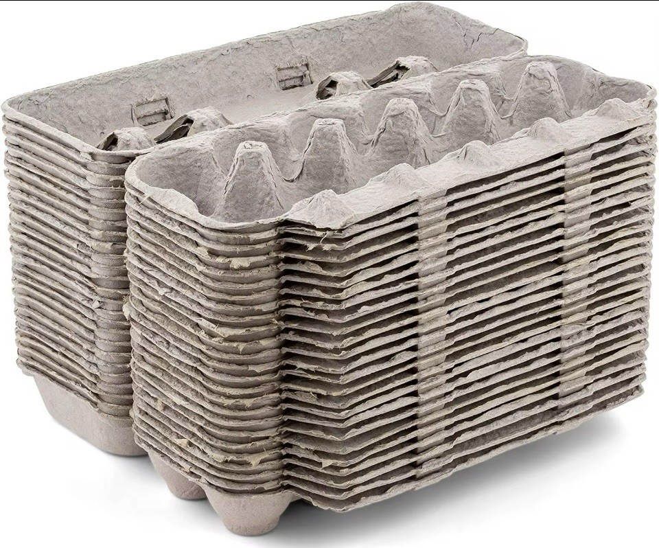 Egg CartonsNatural Pulp Egg Cartons Bulk Blank 12 Eggs Per Carton 20 PACK Strong