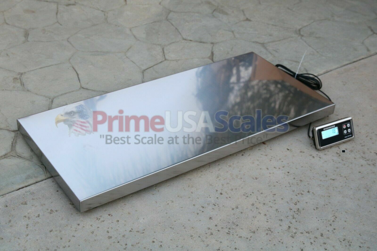 Heavy Duty 500 x 0.2 lb Veterinary or Industrial Freight Scale Livestock Scale