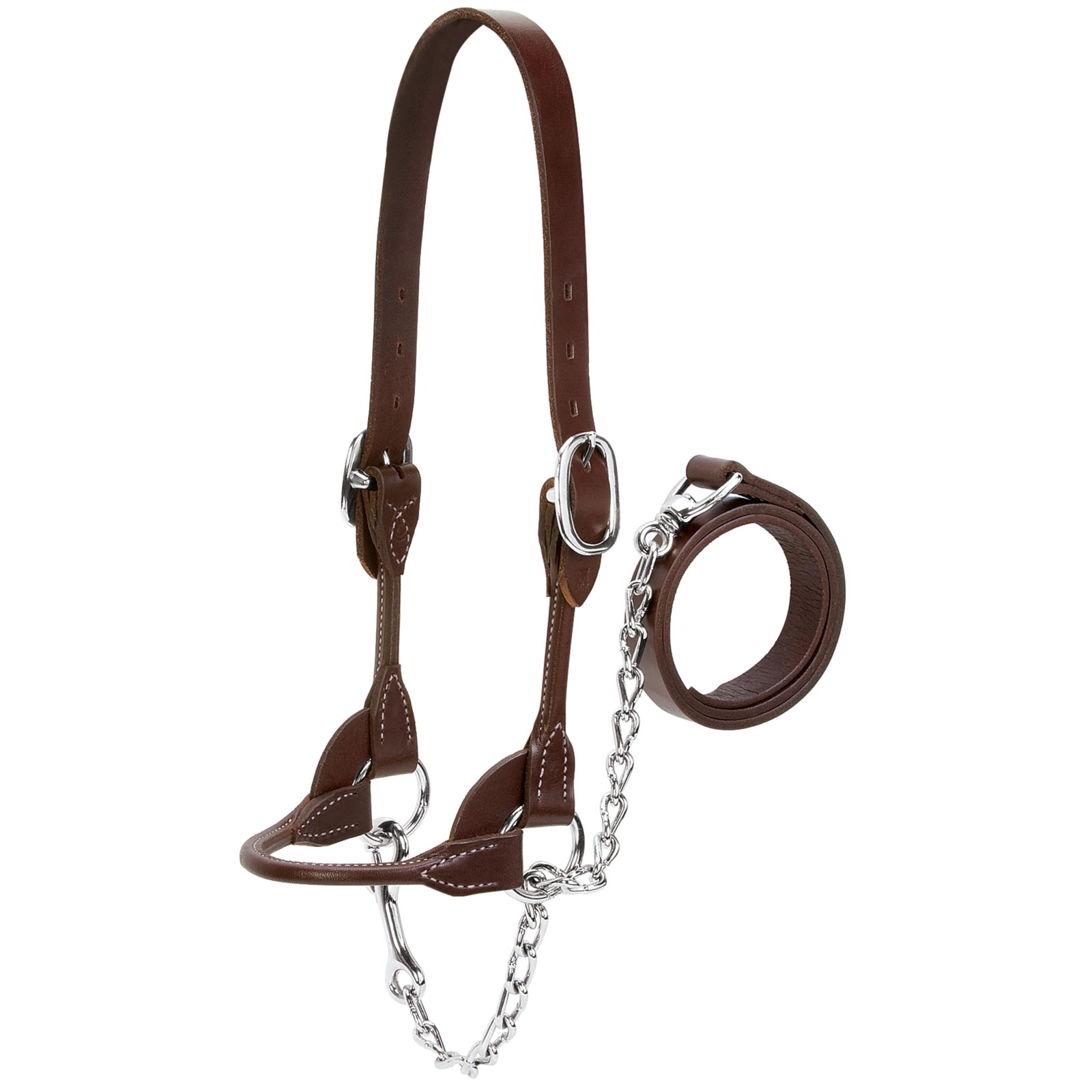 Weaver Livestock Dairy/Beef Rounded Show Cattle Halter Adjustable Modern Style