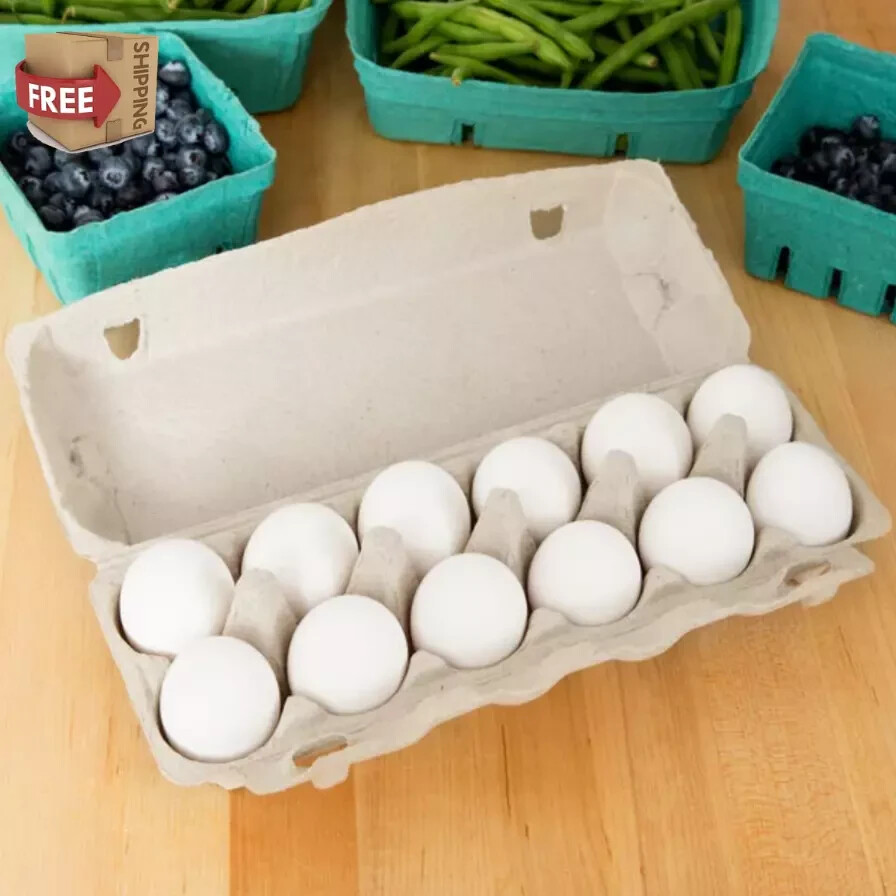 240 Pack Bulk Wholesale 1 Dozen Extra Large Natural Pulp Beige Egg Cartons NEW