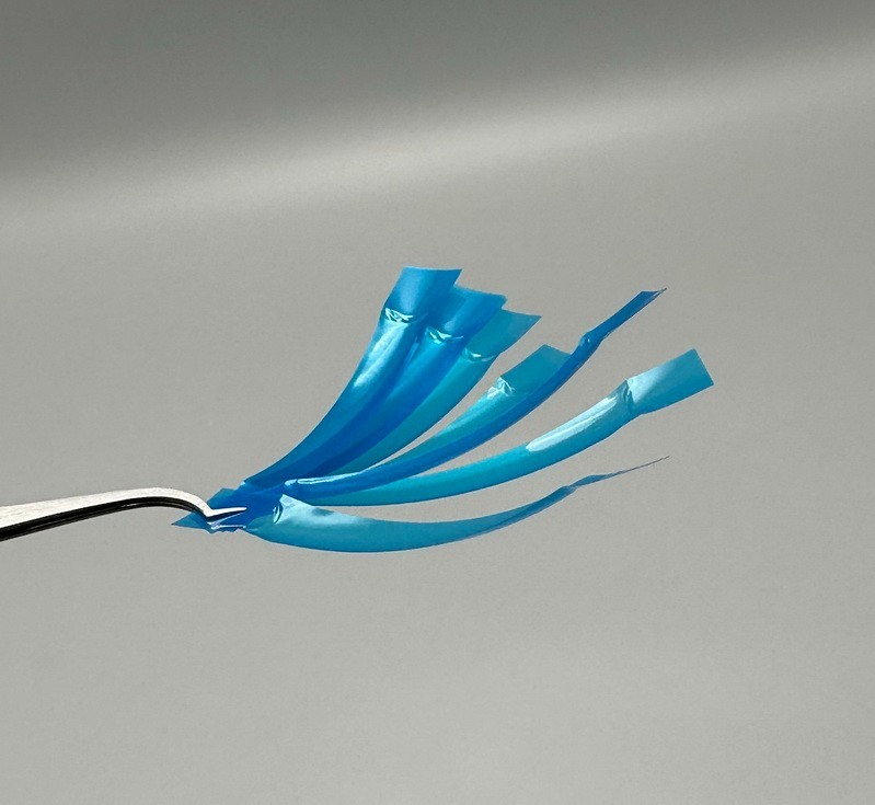 Dental Anterior Restoration Matrix Composite Resin Matrices Blue Strip 50Pcs/box