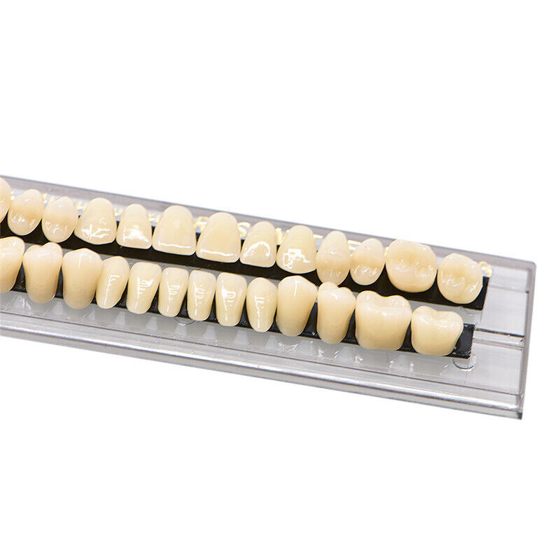 28pcs/set Dental Acrylic Resin Teeth Shade A2 A3 Full Set Denture Upper Lower