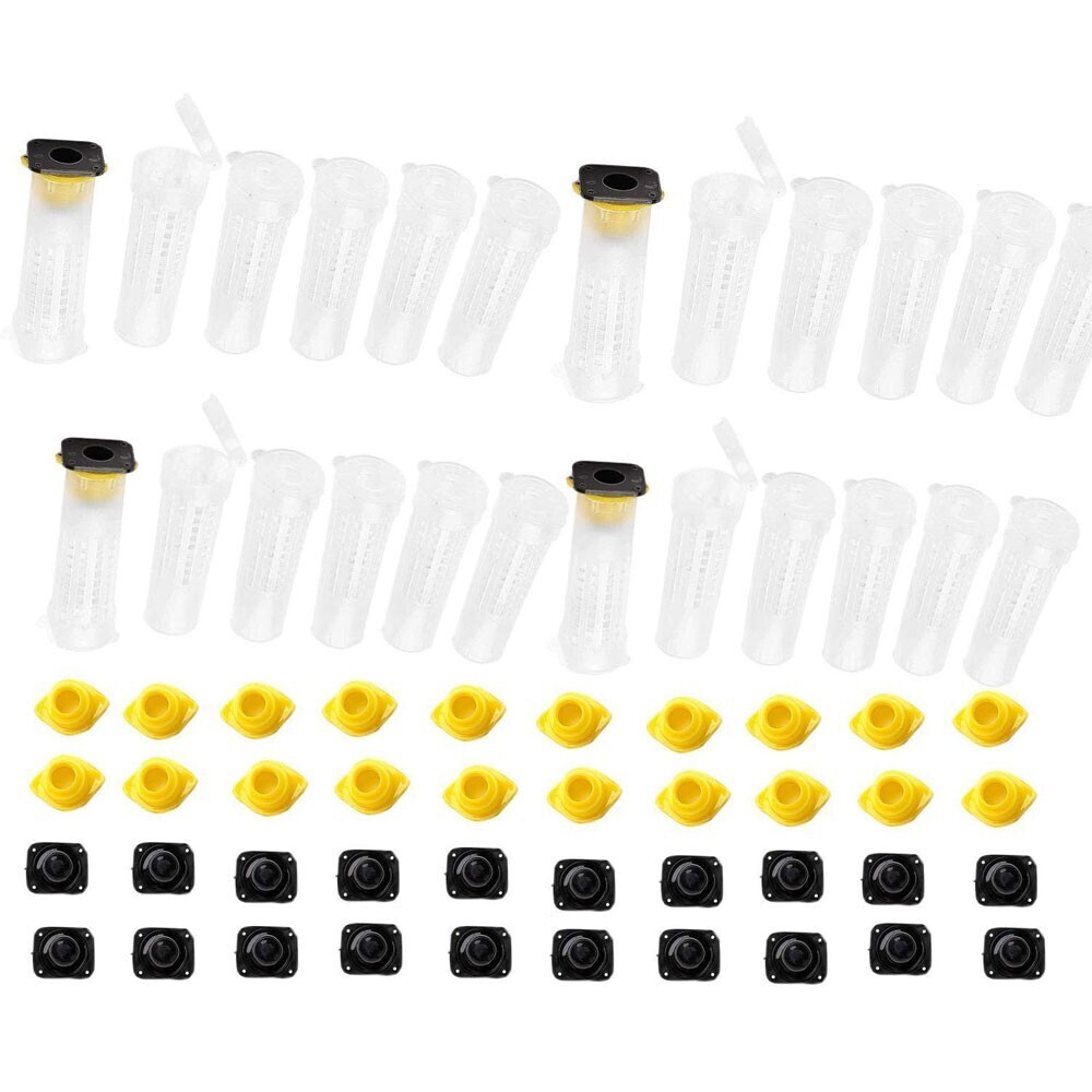40pcs Mini Beekeeping Rearing Cup Kit Queen Bee Cages Bee Cell Protective Cover