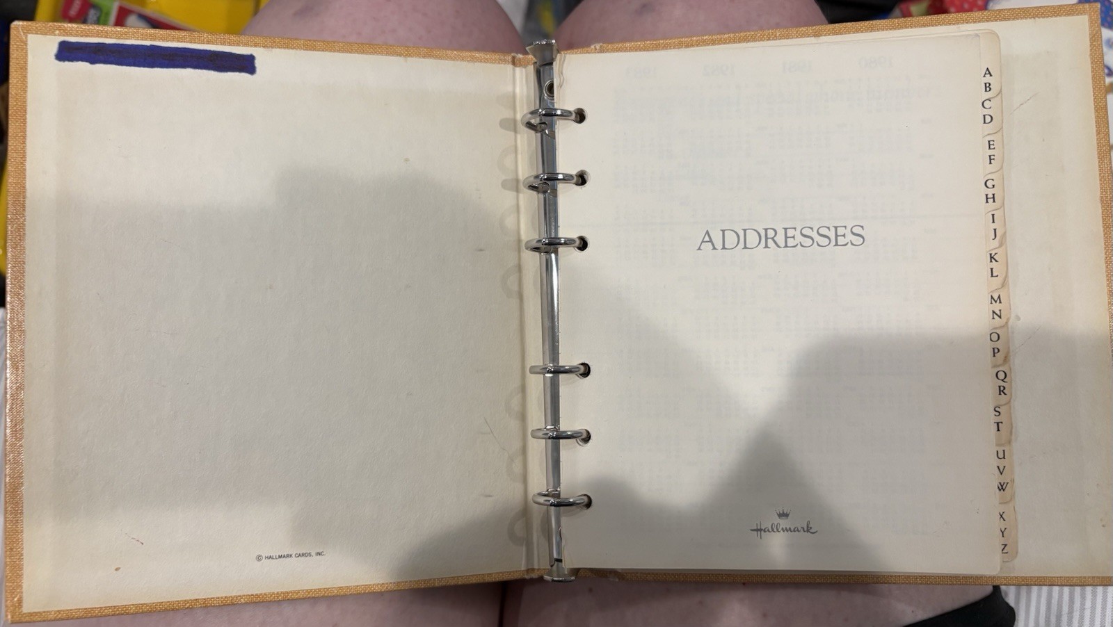 Vintage Hallmark Koala Address Book 3 Ring Binder Loose Leaf Friendship