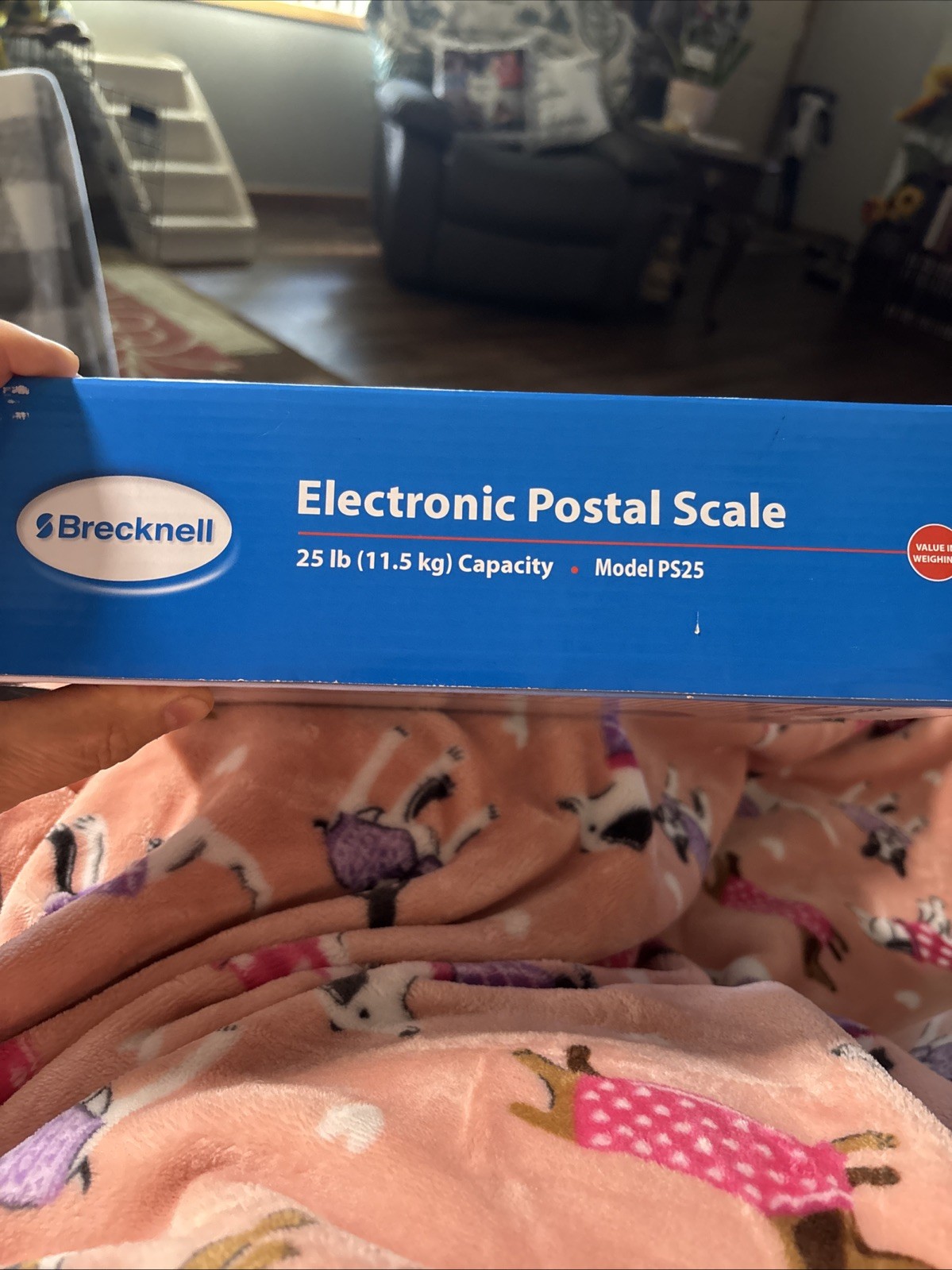 BRECKNELL PS25 Electronic Portable Postal Parcel Scale 25 lb x 0.2 oz, BLUE