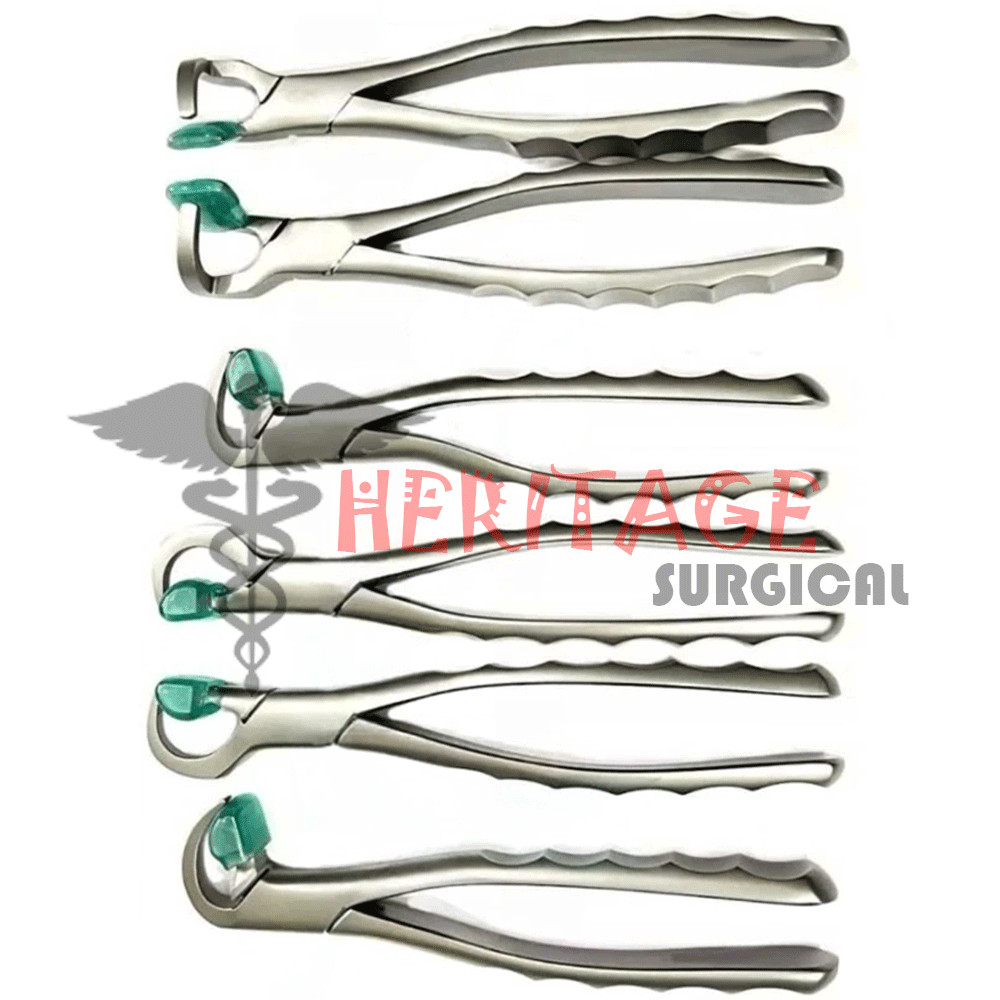 Dental Extraction Forceps Standard Series Set of 4 Pcs + 2 pcs Molar Series Set
