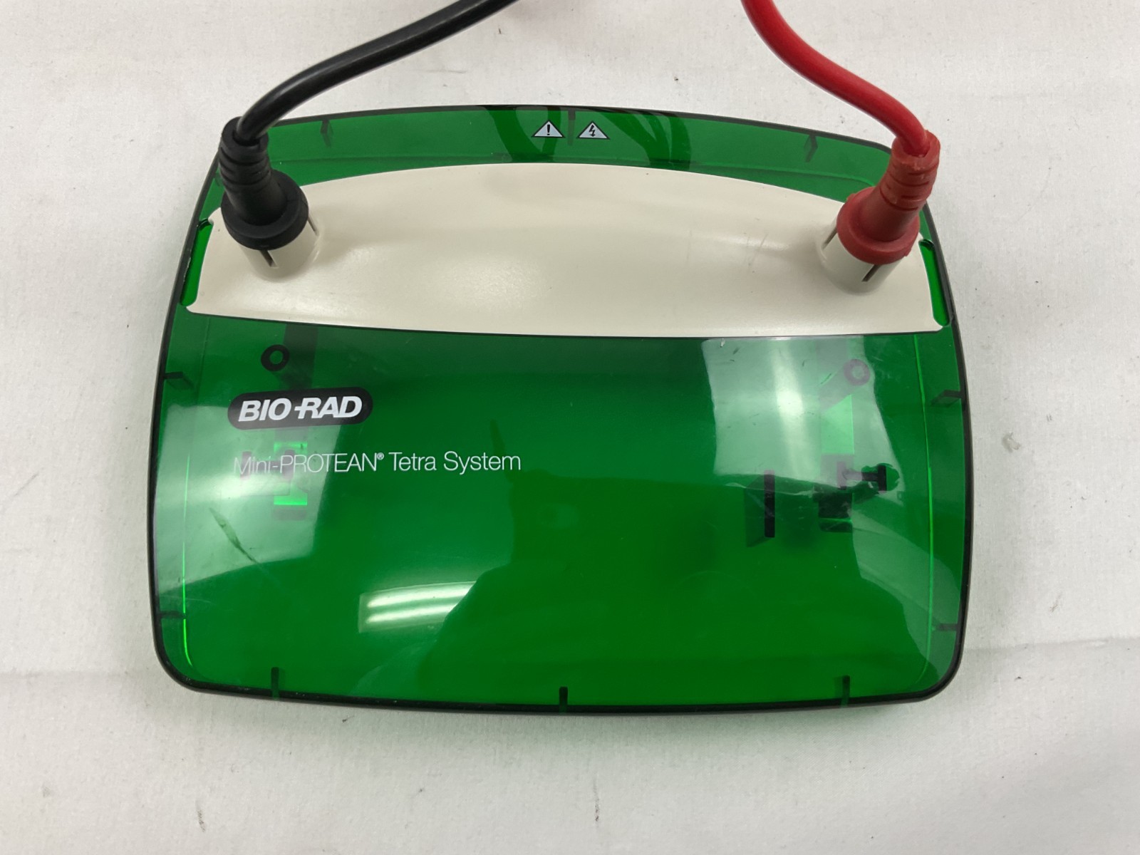 Bio-Rad Mini-PROTEAN Tetra Cell Electrophoresis System w/ Mini Trans-Blot
