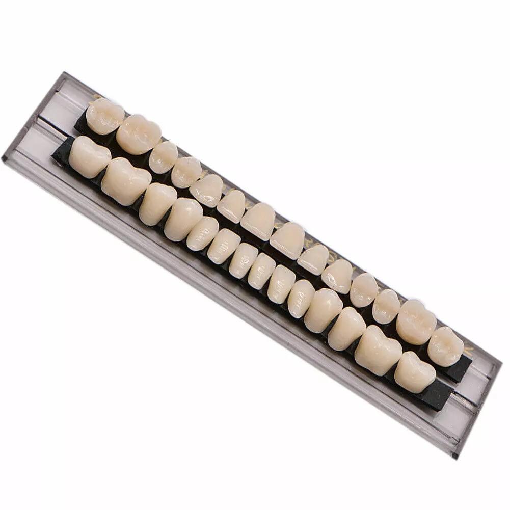 56 Pcs (A2+A3) False Teeth Dental Complete Acrylic Resin Denture Teeth #23 Shade