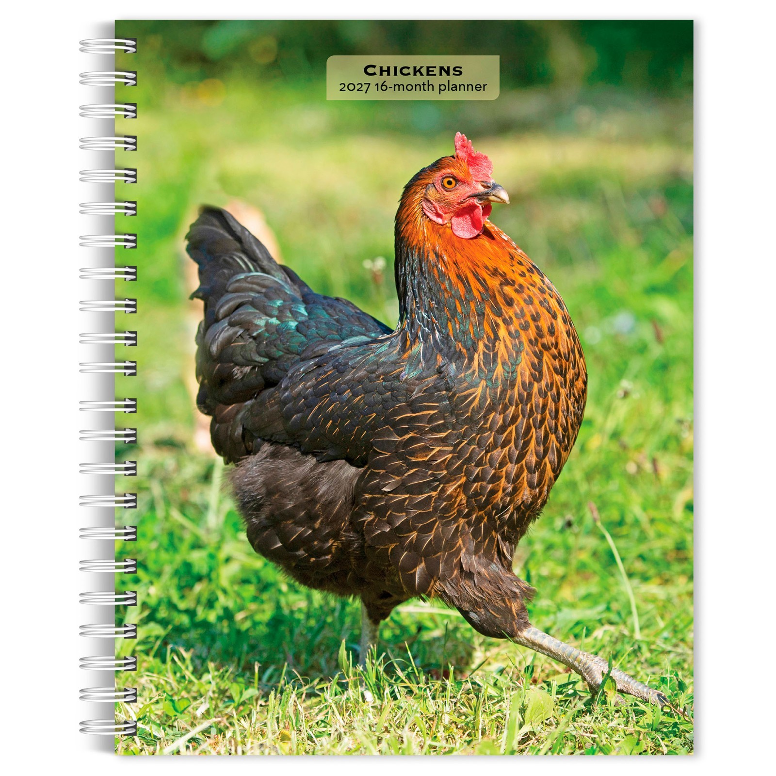 Chickens | 2027 6×7.75″ Spiral-Bound Wire-O Weekly Engagement Planner Calendar