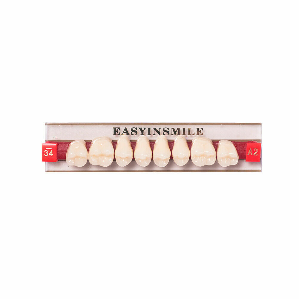 Dental Acrylic Resin Denture False Teeth Anterior DIY Lab A1/A2/A3 U/LFull size