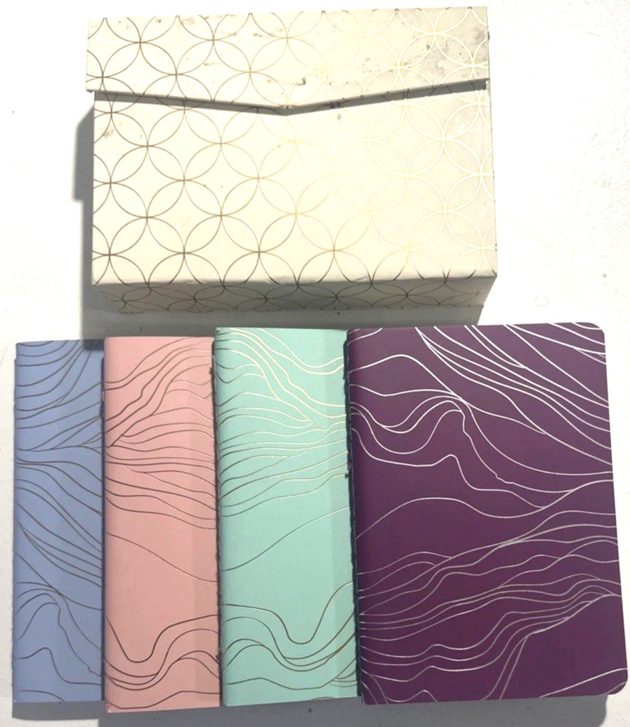 Erin Condren Seasonal Surprise Box Pocket Notebooks Soft Bound Stitched Set Of 4