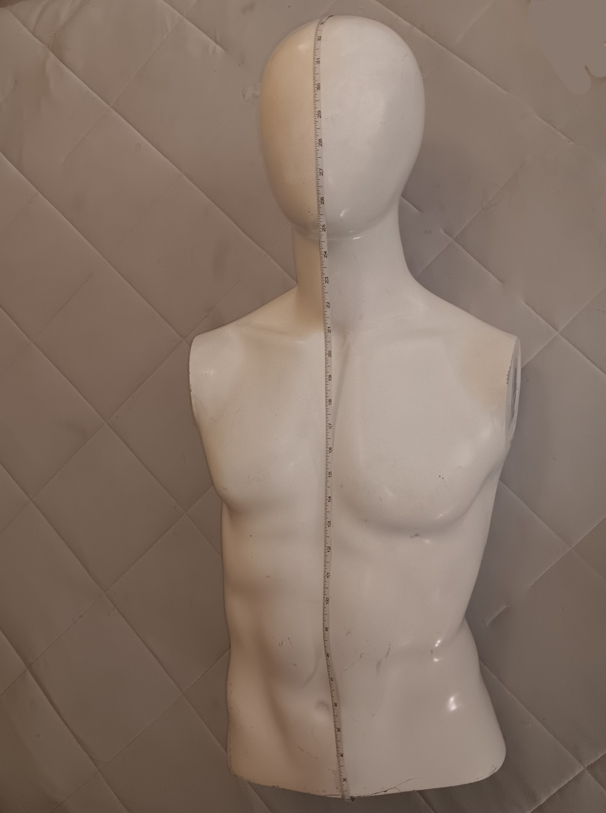 Male Egghead Torso Mannequin – Armless Display Form – Mannequin Like Display