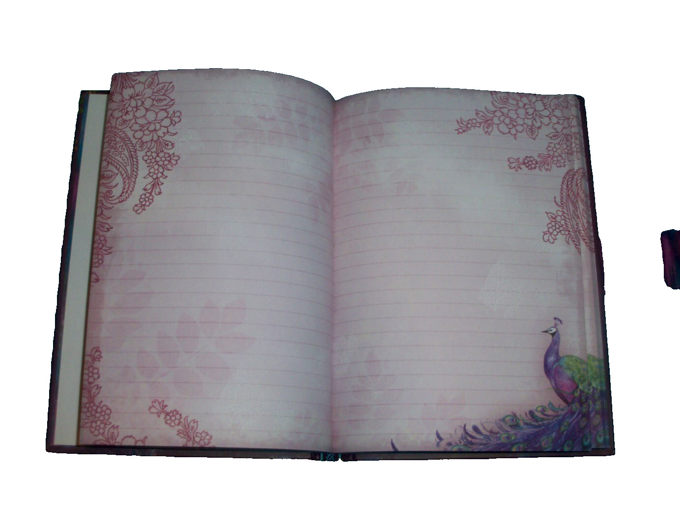 2 Journal / Diary (PAPER BLANKS Mahogany Gold) + (PUNCH STUDIO Purple Peacock)