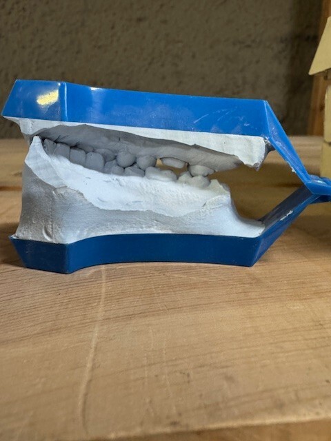 Dental Lab Disposable Articulator 60 pcs