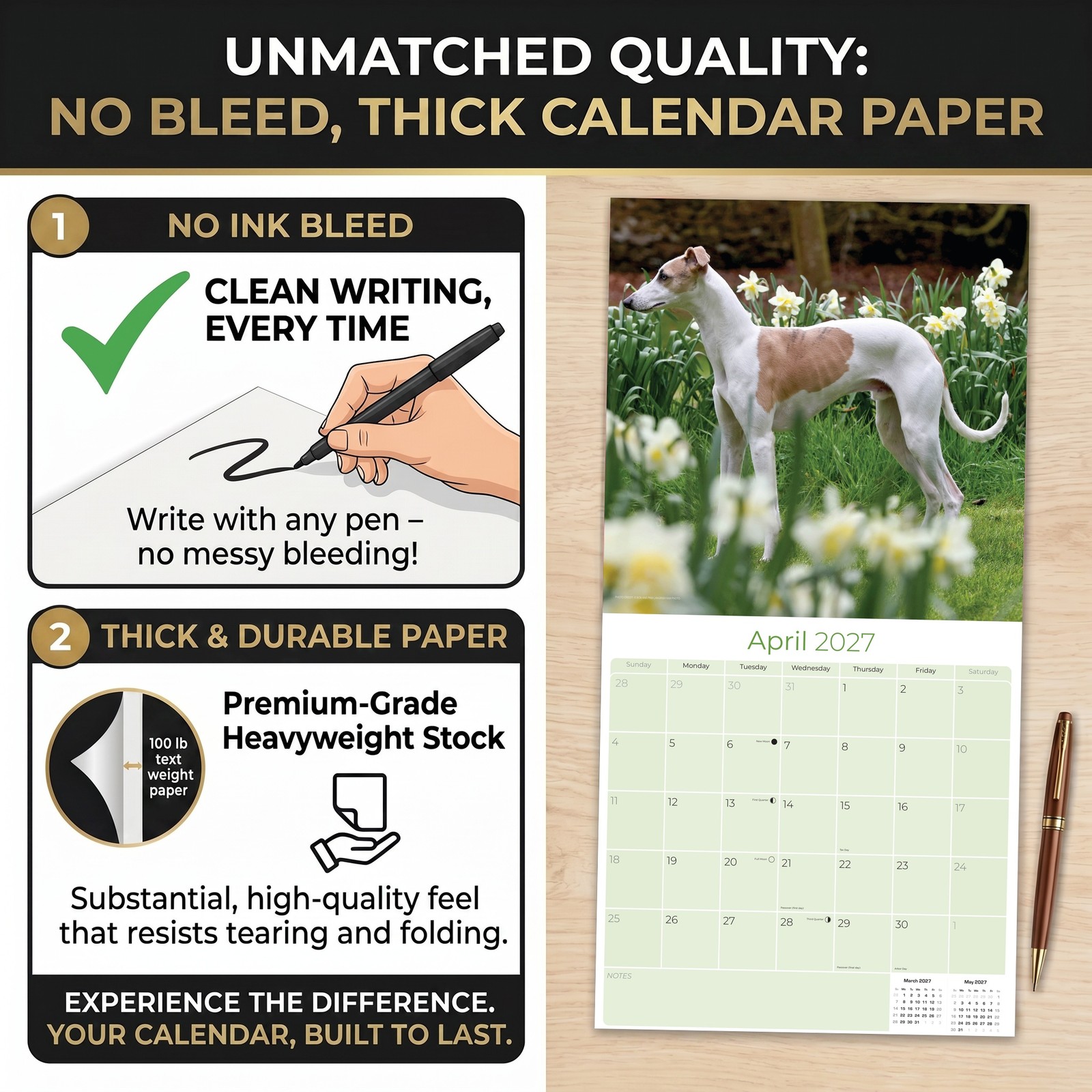 Whippet Dog Breed Calendar 2024 FULL SIZE 12×24 Made in USA