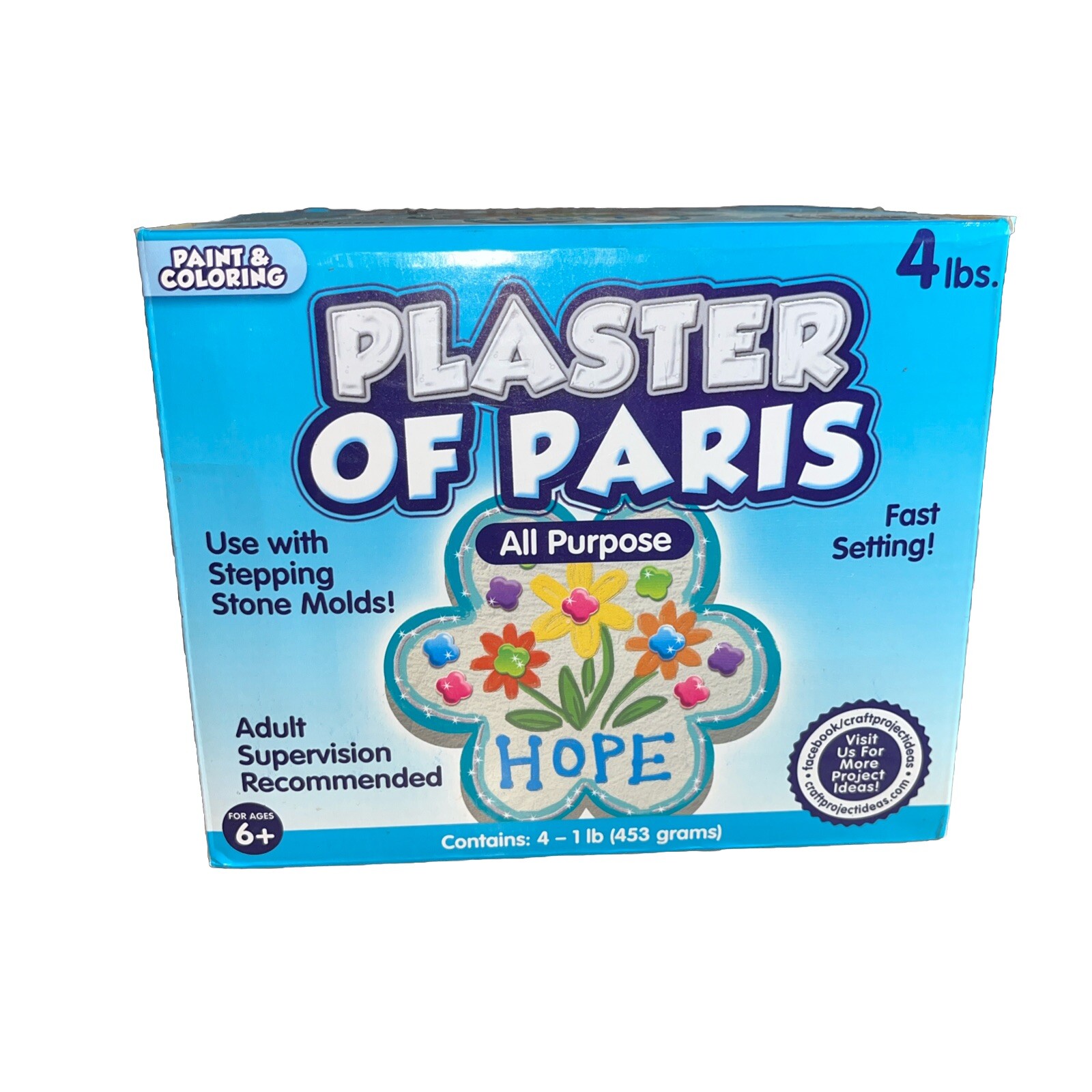 Plaster of Paris, ALL PURPOSE Sets In 20 To 30 Minutes – 4 Lbs Paint & Color
