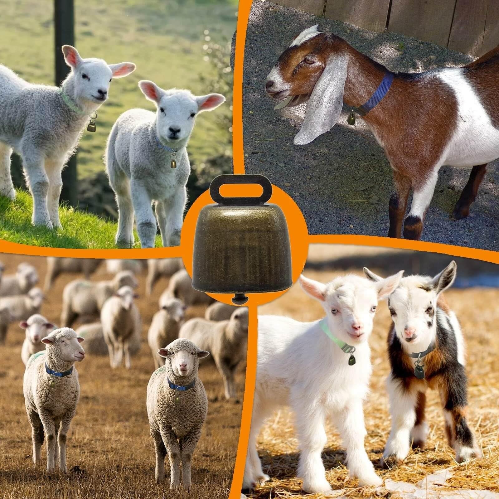 Pack Reflective Goat Collars with Adjustable Nylon and Copper Bells Size L
