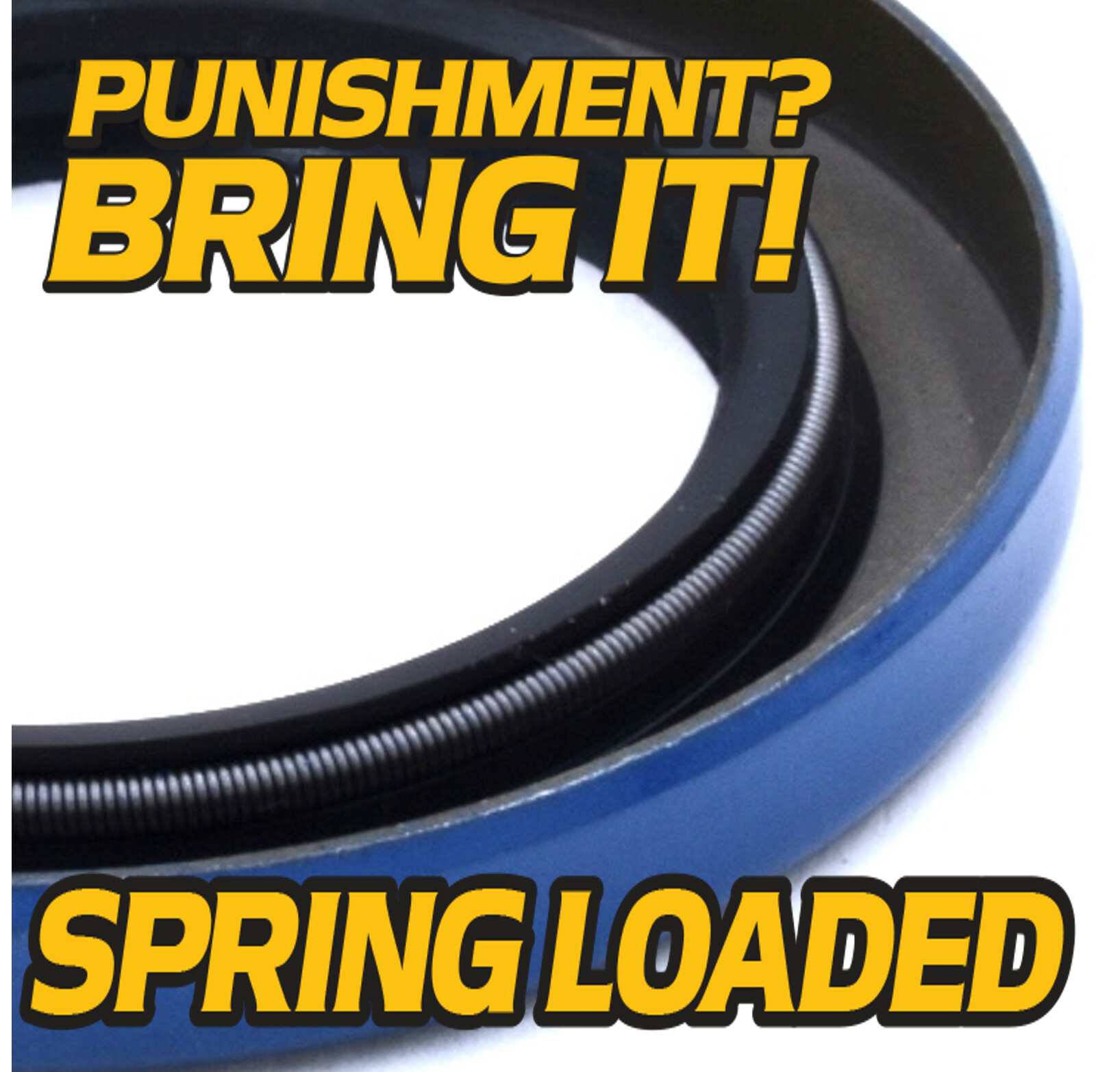 (4 Pk) Double Lip Seal Replaces 473336 3500lb Trailer Axle 84 Spindle w/ SEALANT