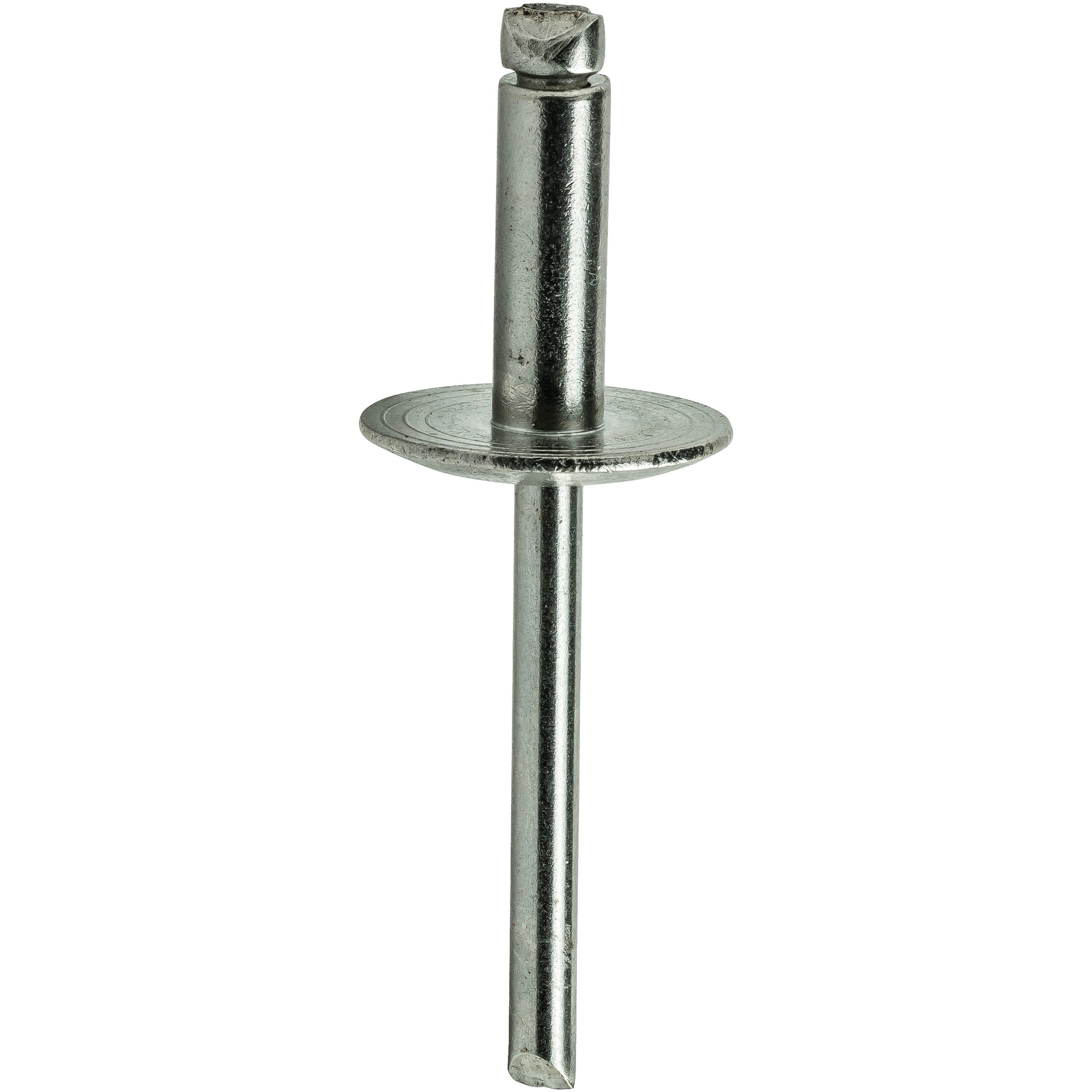 Large Flange Stainless Steel Pop Rivets Dome Head Blind Every Size and Length
