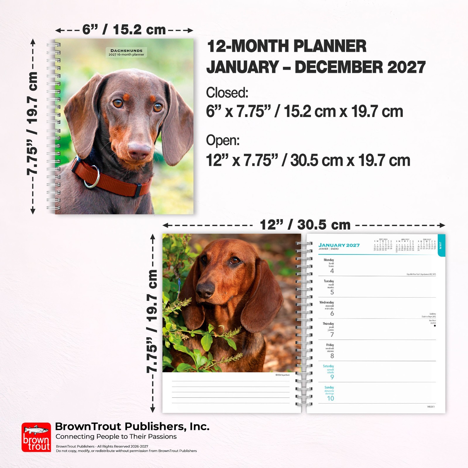 Dachshunds | 2027 6×7.75″ Spiral-Bound Wire-O Weekly Engagement Planner Calendar