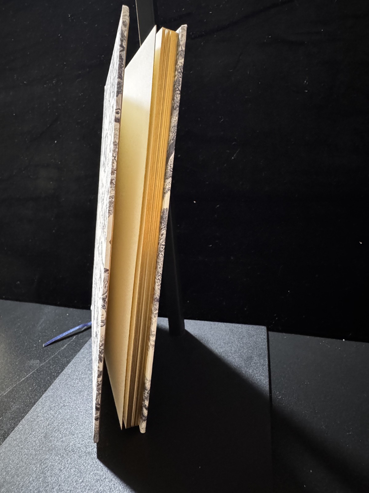Christian Dior Notebook NEW Journal novelty GWP