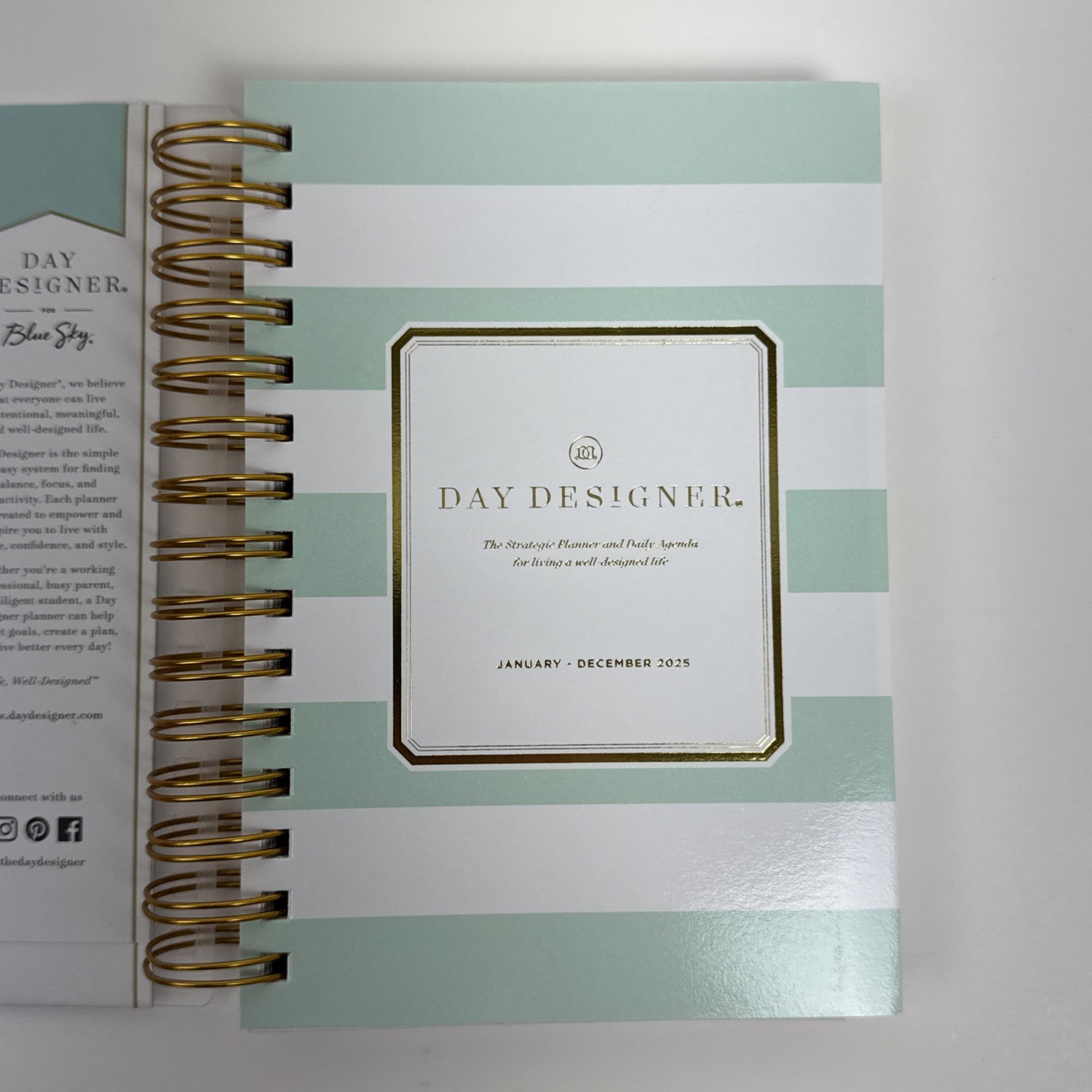 Day Designer 2025 Daily/Monthly Planner 8.15″x6.38″ Wirebound Rugby Stripe Mint