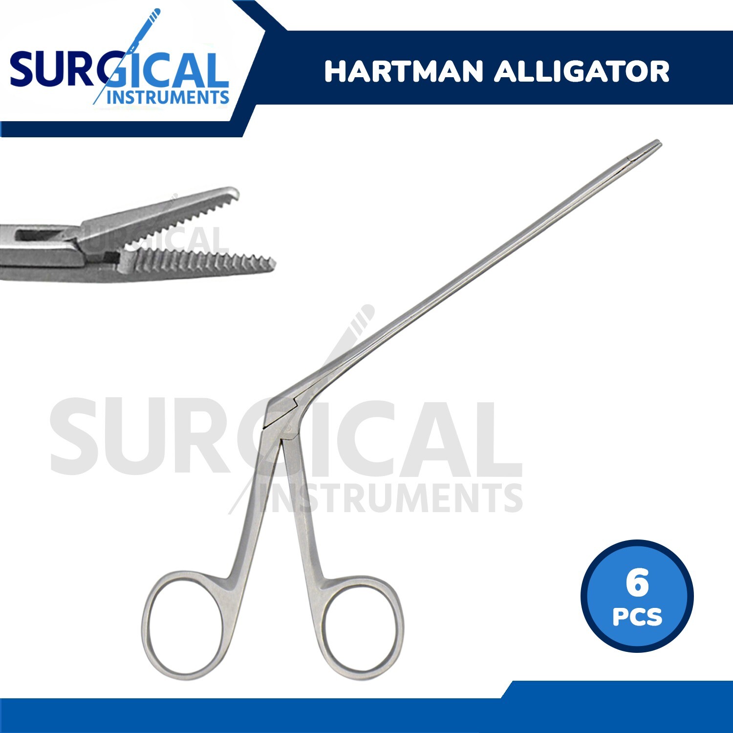 6 Alligator Forceps 5.5″ Surgical Veterinary Instruments