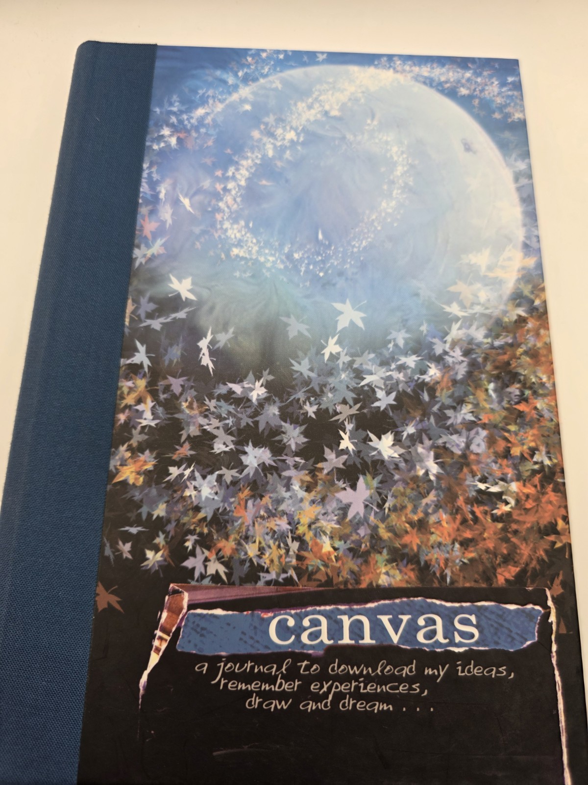 Canvas – RARE Lined Journal Blank Book New draw & Dream