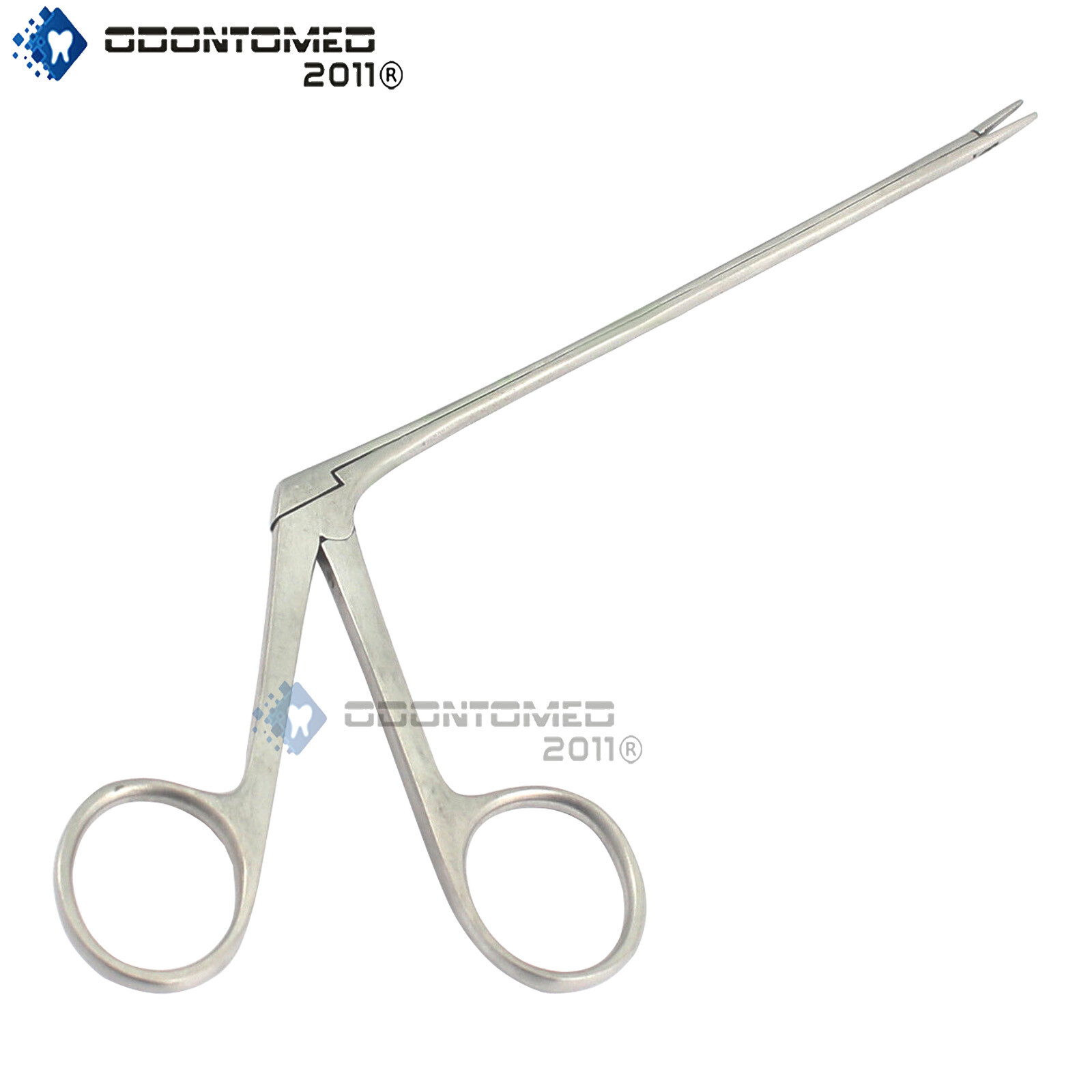 Alligator Forceps 5.5″ Surgical Veterinary Instruments