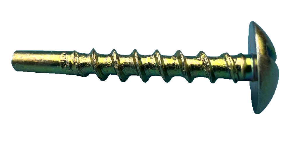 FPE Federal Pacific Electric Door Panel Screw (One Screw) *NEW