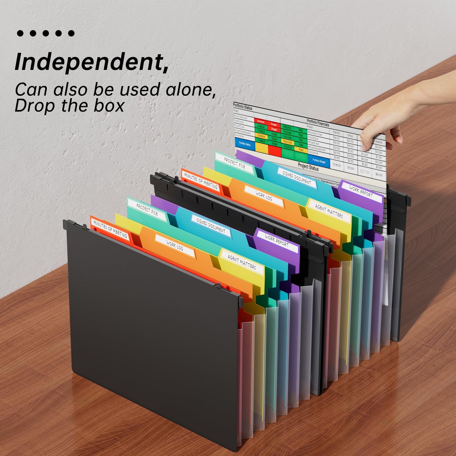 Fireproof File Box with Hanging File Folders Letter Size Organizer Pockets