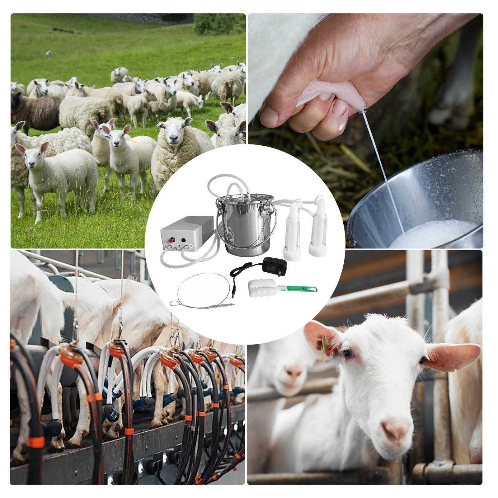 Goat Milking Machine Goat Milker 3L 304 Stainless Steel Bucket Portable US