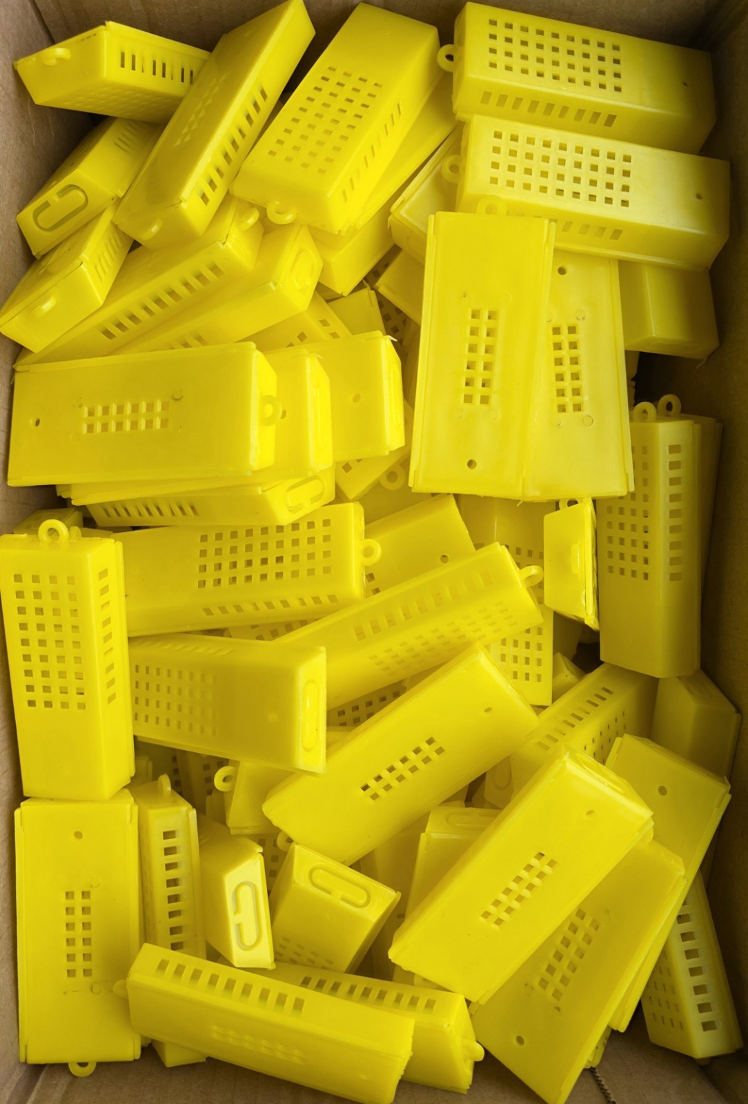 20 Pieces Yellow Queen Bee Butler Cage Catcher Trap Case Beekeeping Rearing Set