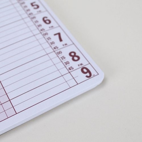 Portage Notebooks Appointment Book – Large 10″ x 13.5″ 5 Columns, Pink