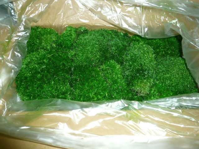 Preserved Pole Moss Pillow 15.0 Sq Ft