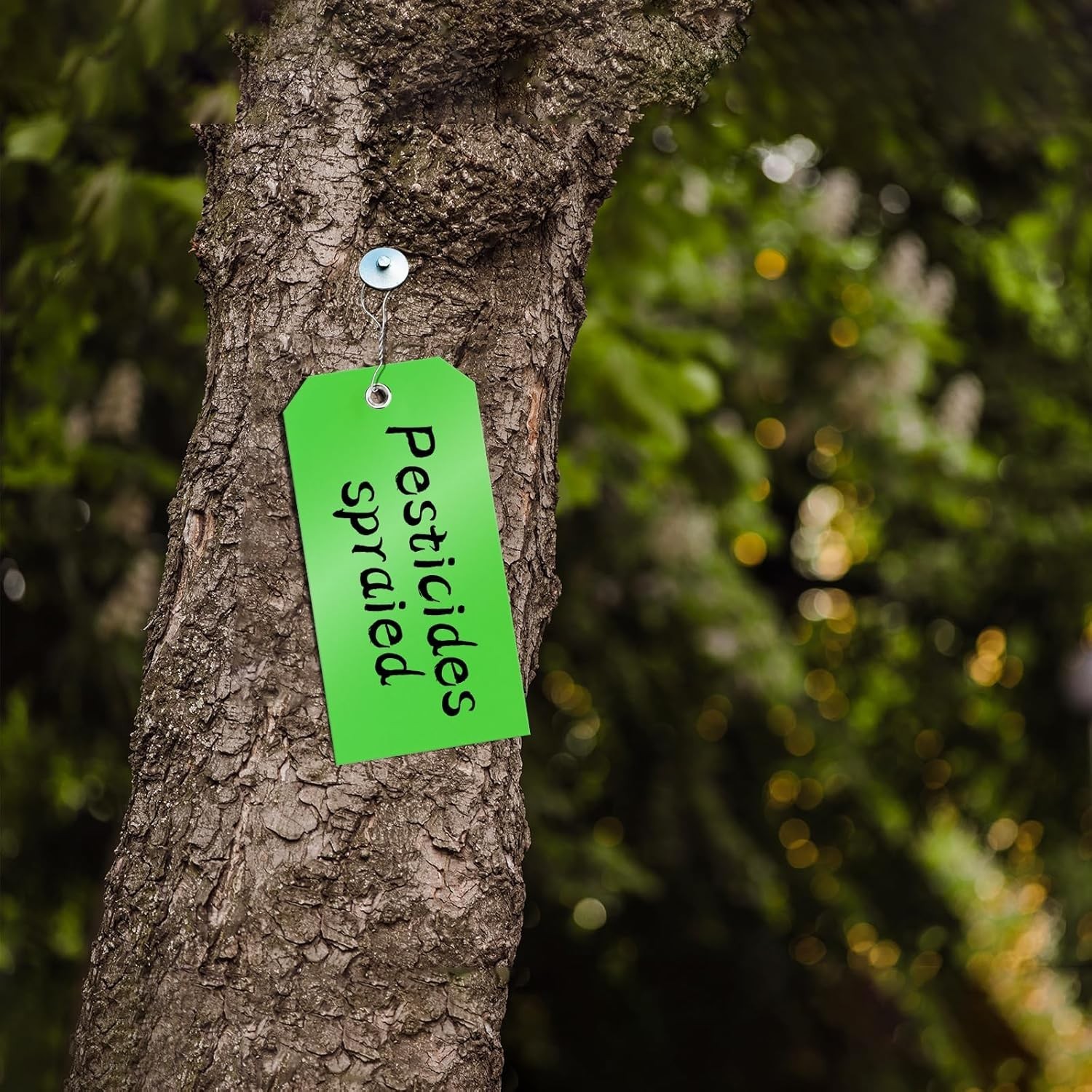 High-Quality 100 Pcs Tear-Resistant Green Tags with Wire – Multi-Purpose Use