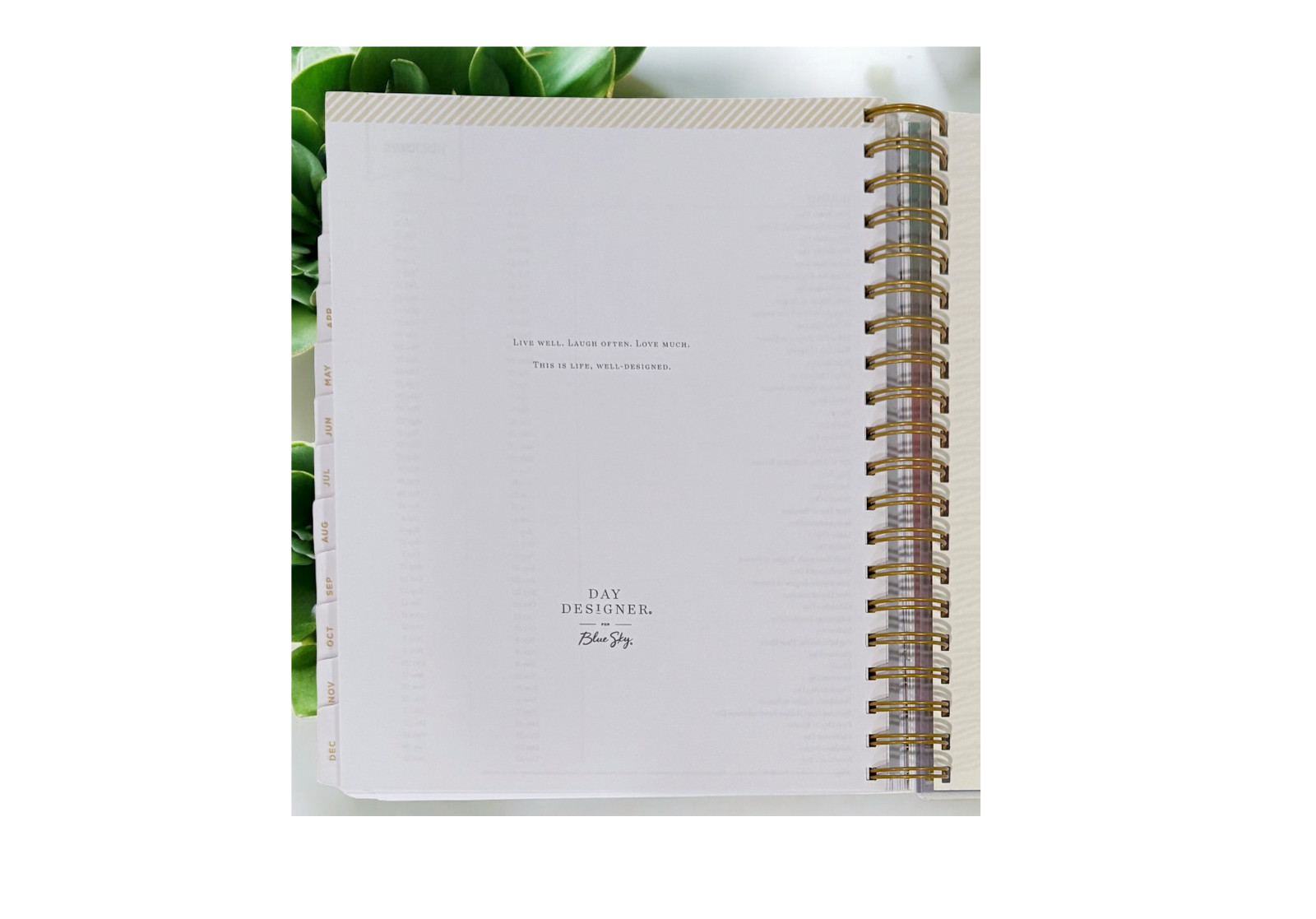 2026 Aurora Boreal Gradient Daily/Monthly Planner Gift Set