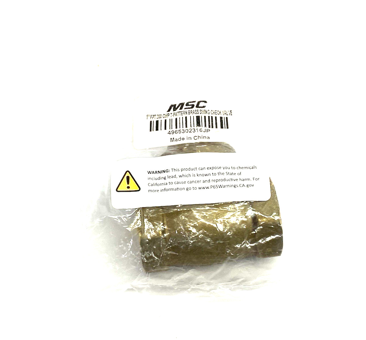 Value Collection 38080784 Check Valve, 1″ Pipe Check Swing, 4965302316JP