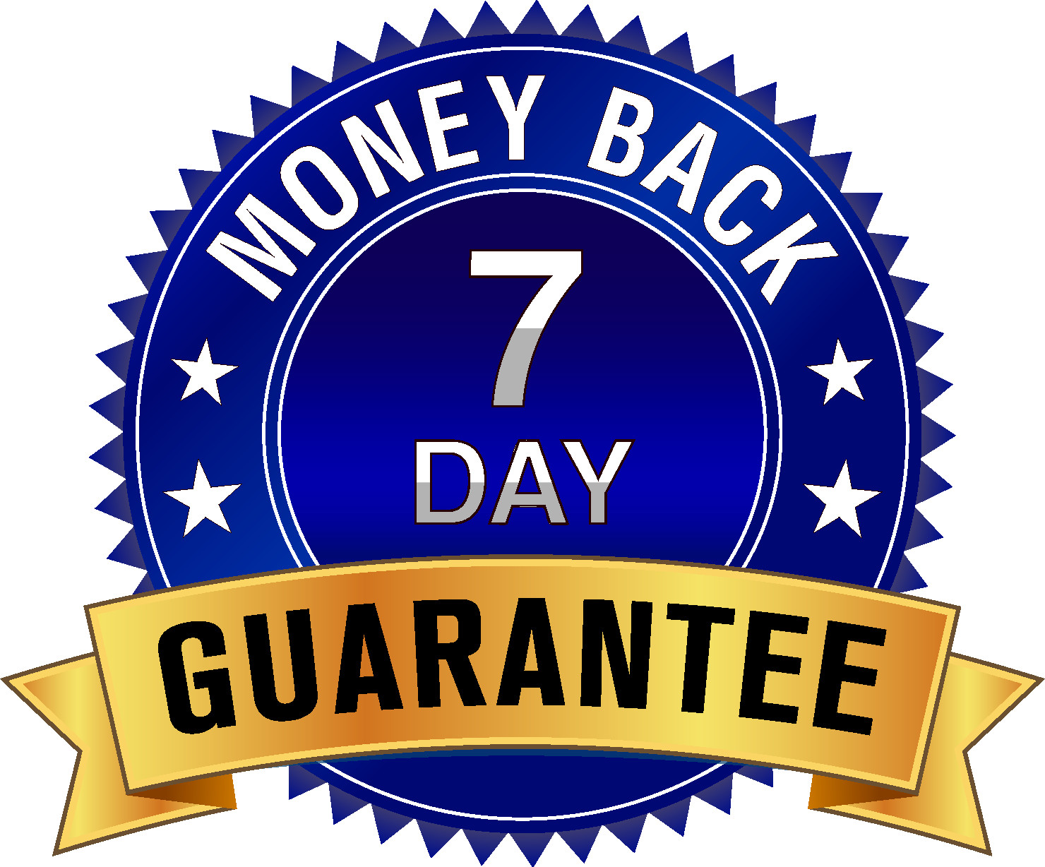 Start Your Own Global Radio Internet Business + 1 Month Hosting Bundle Included