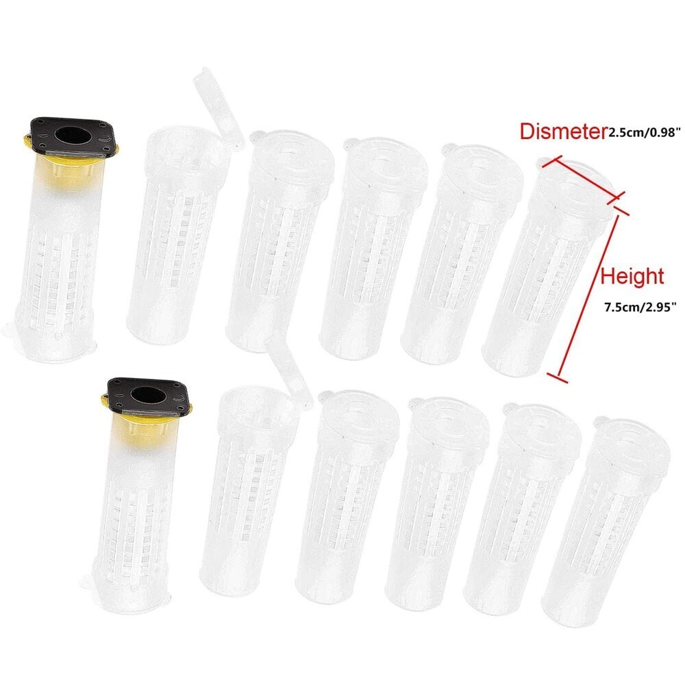 40pcs Mini Beekeeping Rearing Cup Kit Queen Bee Cages Bee Cell Protective Cover
